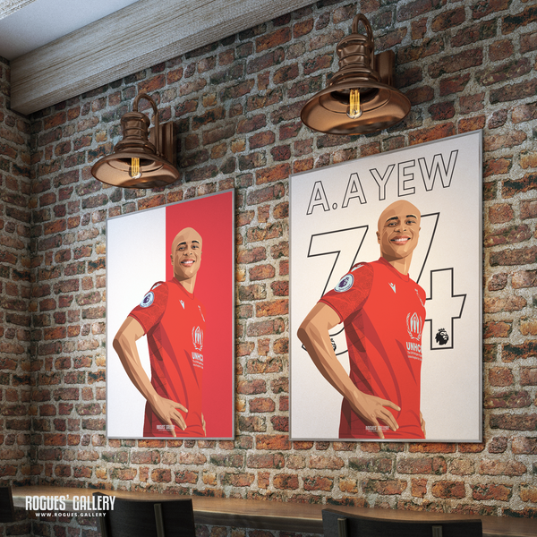 Andre Ayew framed pictures Nottingham Forest City Ground 