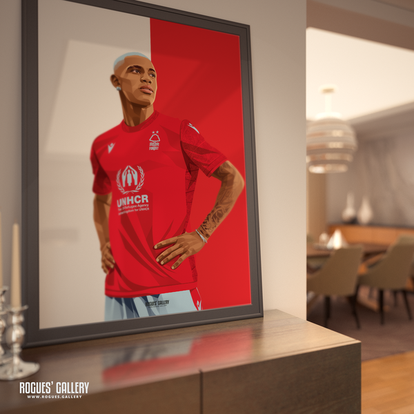 Danilo - Nottingham Forest - A0, A1, A2 or A3 Red & White Prints