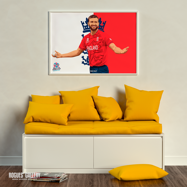 Mark Wood England cricketer T20 World Champion A2 print fast bowler