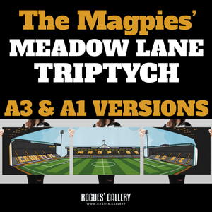 Meadow Lane Notts County The Magpies NCFC Home Ground Oldest League Club Nottingham  triptych A3 art print