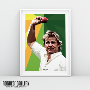Shane Warne 700th wicket Australia Cricket spin bowler modern art A3 print