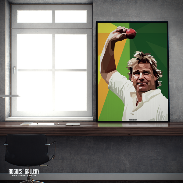 Shane Warne 700th wicket Australia Cricket spin bowler modern art A2 print