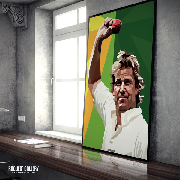 Shane Warne 700th wicket Australia Cricket spin bowler modern art A1 print