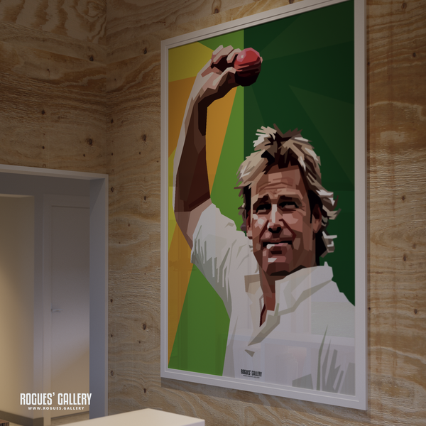 Shane Warne 700th wicket Australia Cricket spin bowler modern art A0 print
