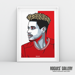 Lyle Taylor striker Nottingham Forest FC The City Ground NFFC A3 print