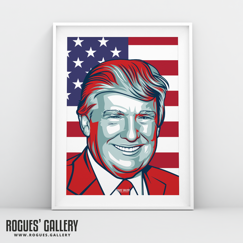 Donald Trump POTUS American President edits USA Don A3 print