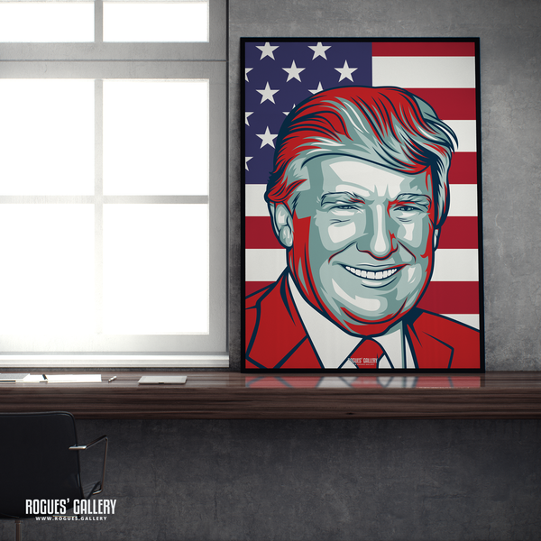 Donald Trump former POTUS American President edits USA Don A2 print ex